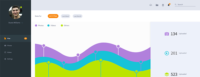 Desarrollo de Sistemas a la Medida, Sistematizacion de procesos,diseño y optimización de procesos